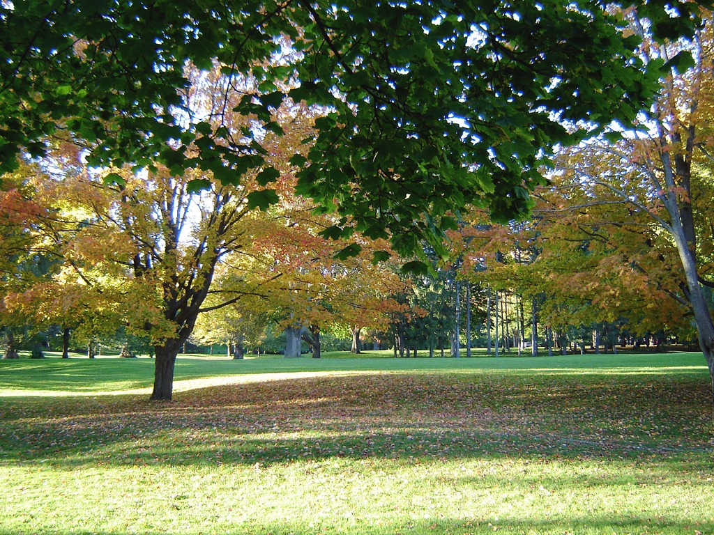 [DSC01353%255B3%255D.jpg]