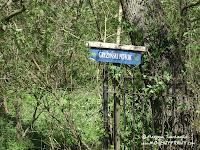 dsc06316.jpg