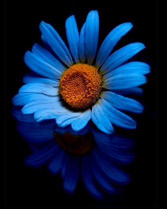 [image%255B5%255D.png]