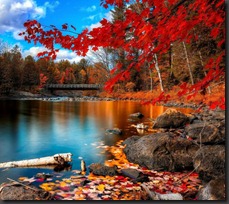 autumn-landscape-photography-red-Favim.com-1071118