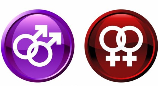 1295581337_159570981_3-Casamento-de-Homossexuais-Outros-servicos