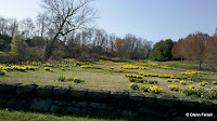 2011-04-14_17-40-53_836.jpg