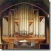 organ100x100 organ100x100