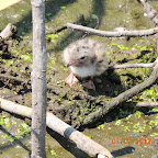 DSCN9518.JPG
