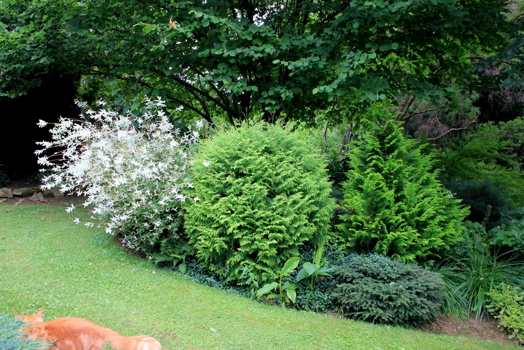 [IMG_6641%255B3%255D.jpg]