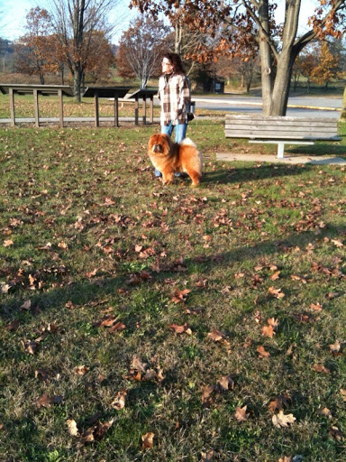 Jan, this park is beautiful!  Even though I didn't get to show this past weekend, doesn't mean we should stop practicing.  Do you want to work on our routine?