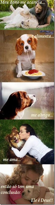 teologia do cachorro - m teologia do cachorro - m