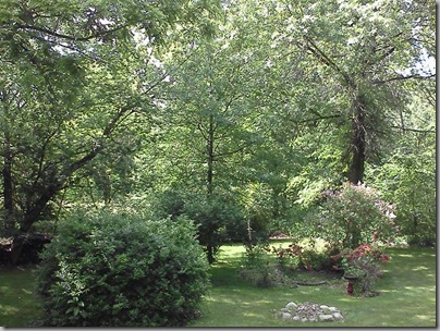 Nutwood spring 2013 Nutwood spring 2013