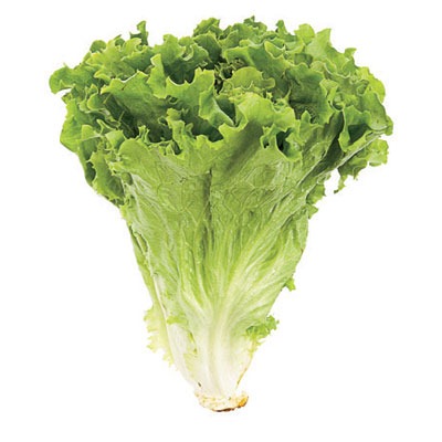 [green-leaf-lettuce-0707-lgn%255B2%255D.jpg]