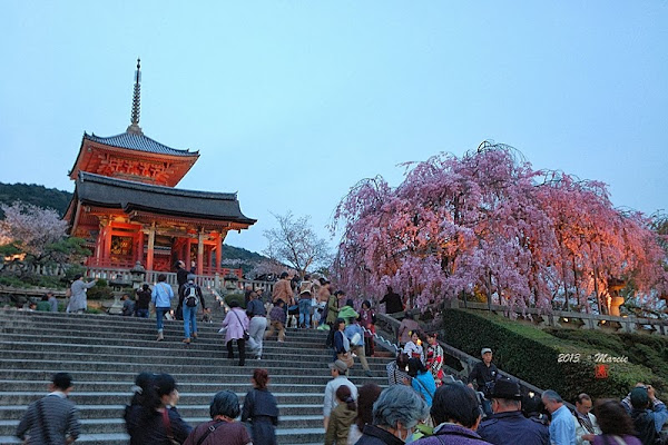 京都清水寺