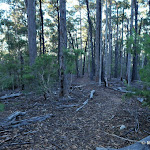 DSC_0283.JPG