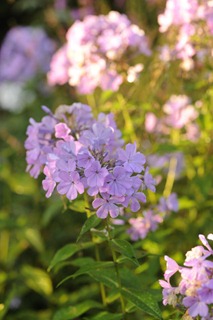 20090916_055336