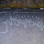 DSCN7033.JPG