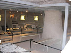 p1238556105(13).jpg