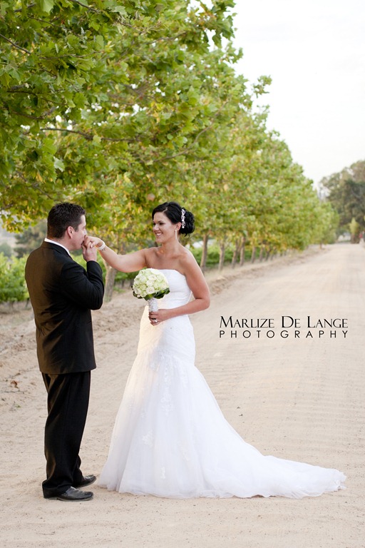 [IMG_1270%2520aa%255B5%255D.jpg]