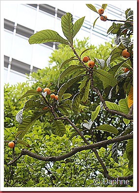 IMG_2813 IMG_2813