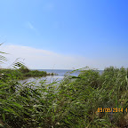 IMG_5665.JPG