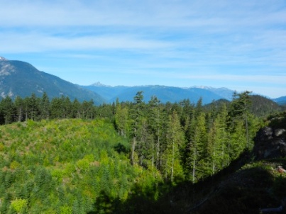 DSCN9638.jpg DSCN9638