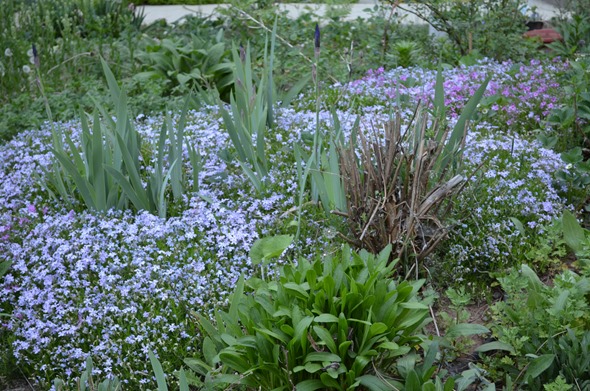 DSC_0006 DSC_0006