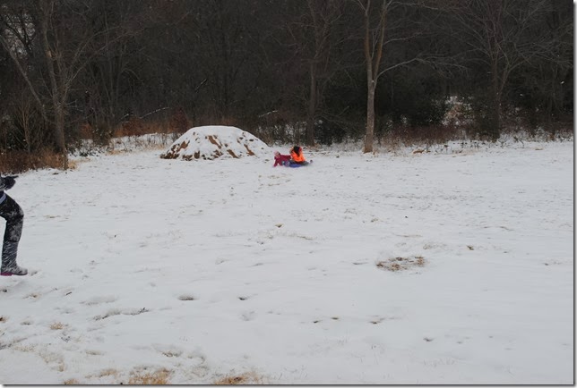 DSC_0028 DSC_0028