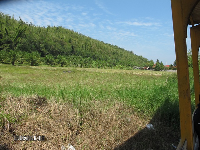 [IMG_70432.jpg]