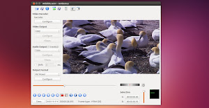 Avidemux 2.6.8 in Ubuntu Linux