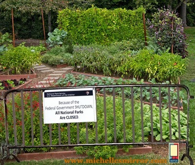 [pristine%2520toms%2520and%2520herbs%2520a%2520year%2520ago%2520copy%255B4%255D.jpg]