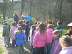 nel bosco...