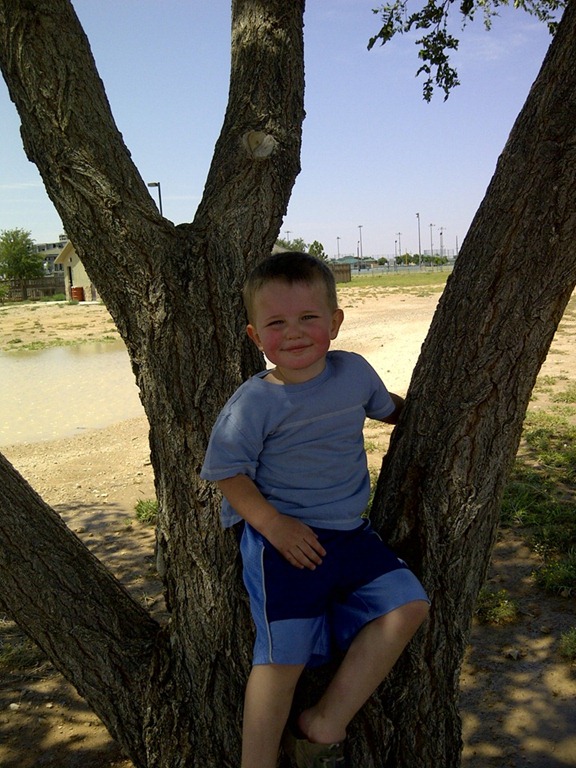 [IMG-20120616-06870%255B3%255D.jpg]