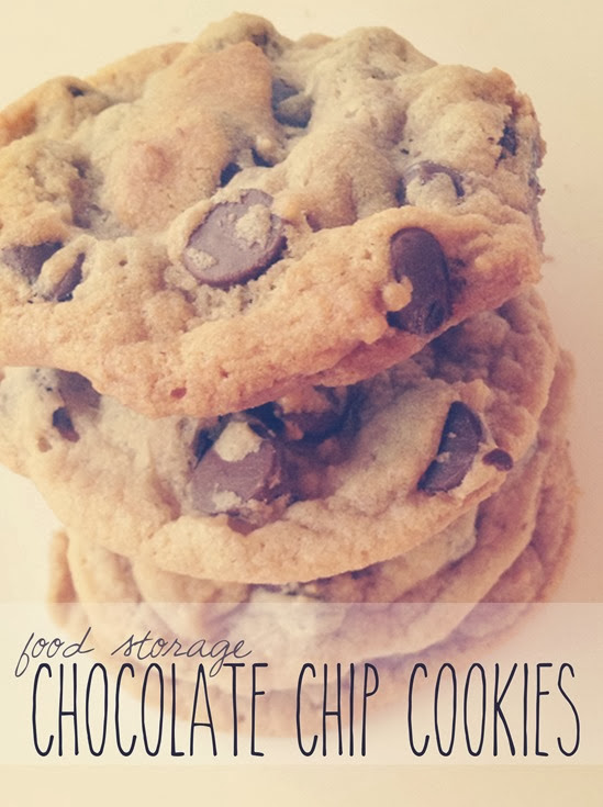 Food Storage Chocolate Chip Cookies