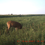 ICAM0090.JPG