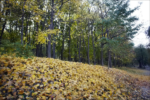 IMG_6706.jpg