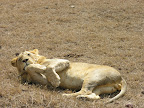 DSCN6926.JPG
