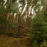 wloszowa-przedborz8_20070814_1463125119.jpg