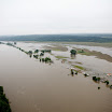 20110610-81_std.jpg