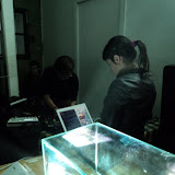 DSC00252.JPG