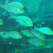 img_026.jpg