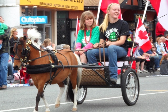 [horses%2520small%255B3%255D.jpg]