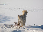 IMG_7342.JPG
