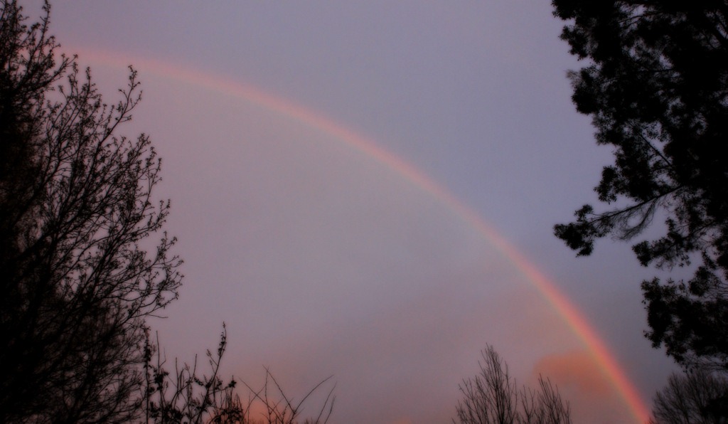 [IMG_5615%255B3%255D.jpg]