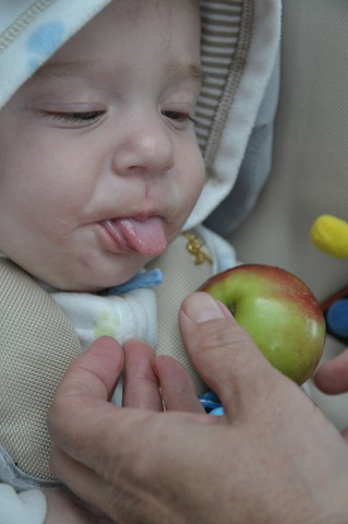 [DSC_4233%255B5%255D.jpg]