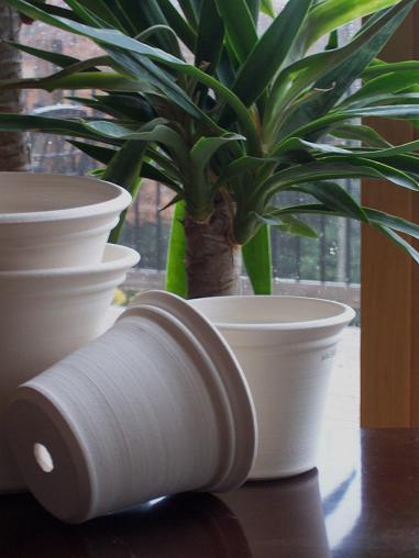 I think white planters are stunning. They're a nice change of pace from the normal earthy tones. (benwolffpottery.com) I think white planters are stunning. They're a nice change of pace from the normal earthy tones. (benwolffpottery.com)