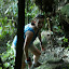 Rambling through the jungle undergrowth...