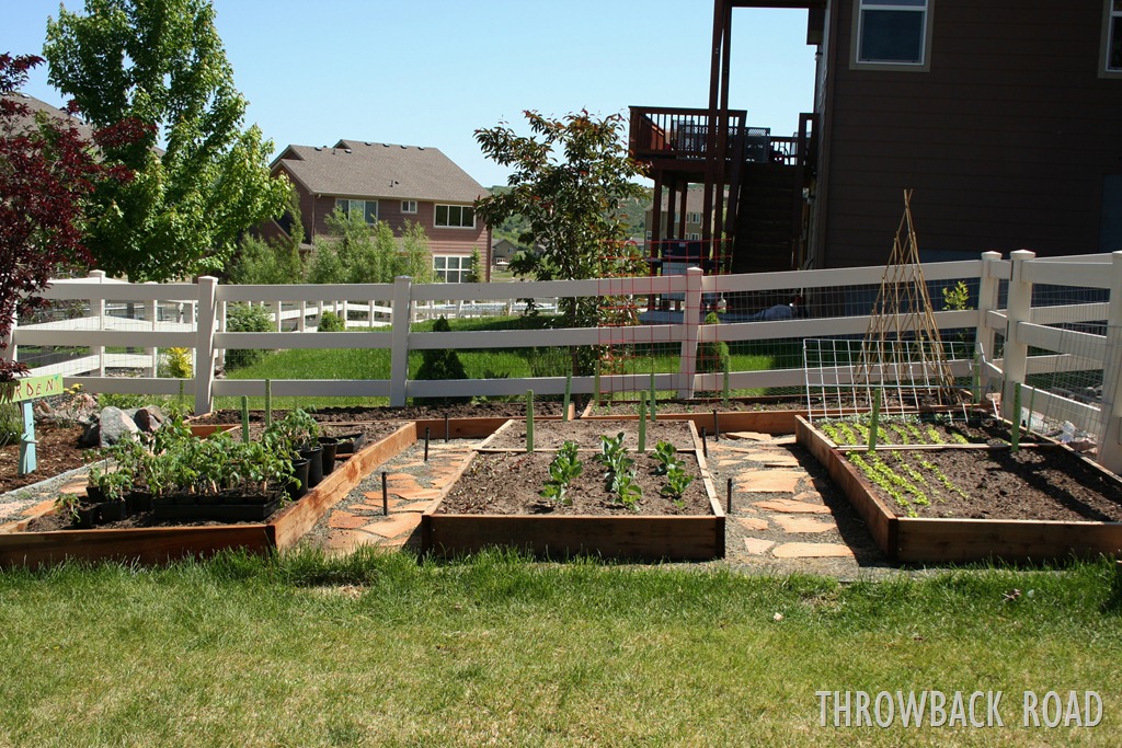 [garden%2520tour%2520may%252029%2520009%255B3%255D.jpg]