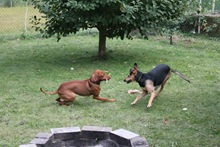 k_IMG_0669 k_IMG_0669