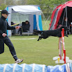 DSC00810.JPG
