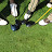 2011 Golf Outing