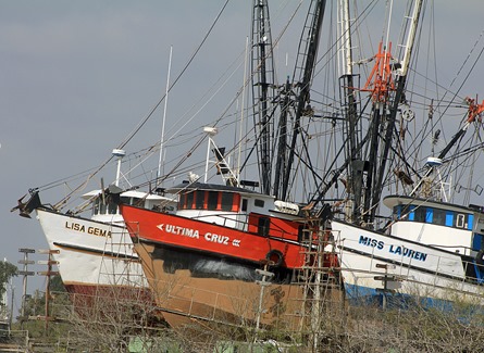 Port of Brownsville Tour 20132