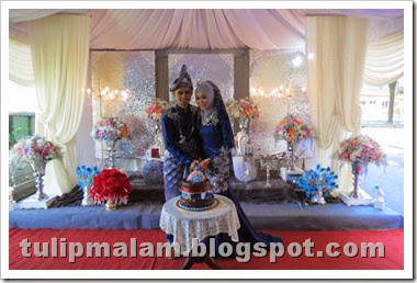 IMG_5651 IMG_5651