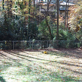 Chain Link Storm Damage Refurbish